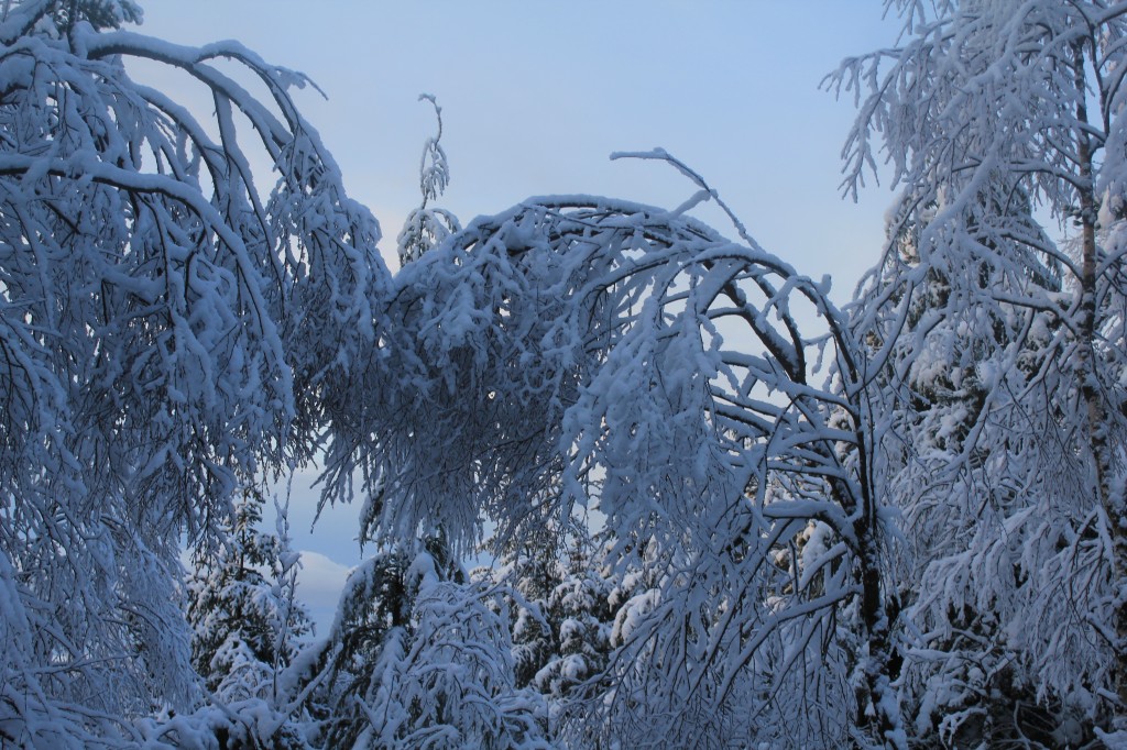 Vinter og sne